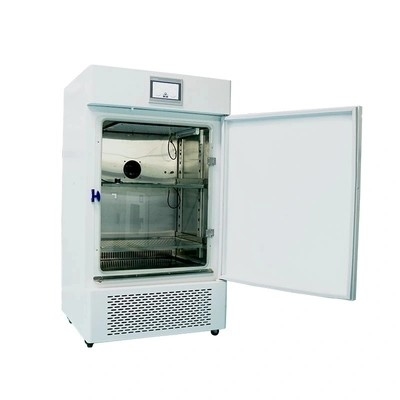 OEM de Programmeerbare Kamer 380V 60Hz van de Temperatuurvochtigheid met LCD