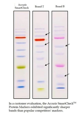 Directe Eiwit de Tellers 10-180kDa Biochemische Reagens van Prestained van de ladingskleur