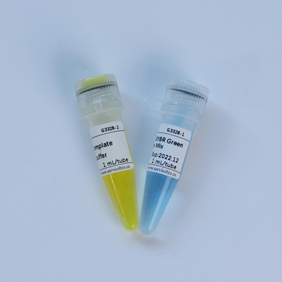 Universele Samengestelde QPCR Hoofd de Mengelings Biochemische Reagens van TaqMan