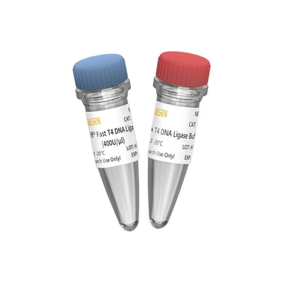 enige Ligase 400 U/UL van enzym Nieuwe T4 DNA voor Onderzoek SLECHTS Gebruik