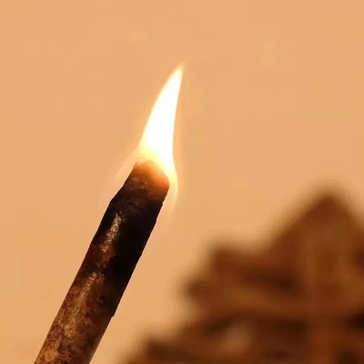 Van de de Brandstof de Houten Korrel van de Verwarmingssysteembiomassa Professionele Energie - besparing