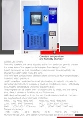 Constant Temperature And Humidity Test-Test van het Doos de Professionele Milieu